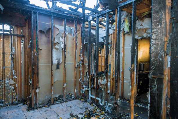 Professional Fire Damage Removal technician working in Liberty City, TX